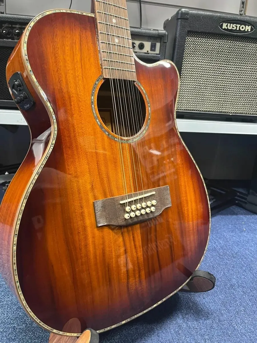 Freshman 12 String Electro Acoustic Guitar - Image 1