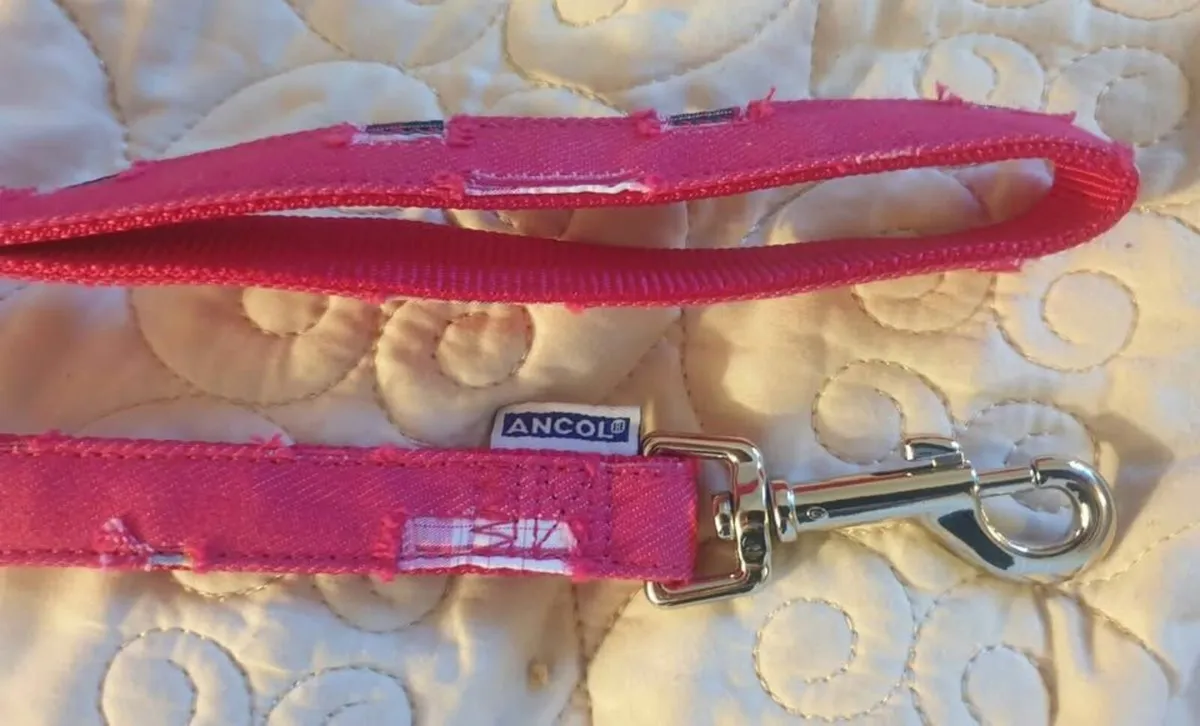 Toy Dog Lead - Image 1