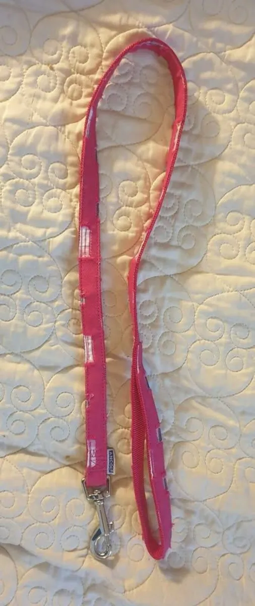 Toy Dog Lead - Image 2