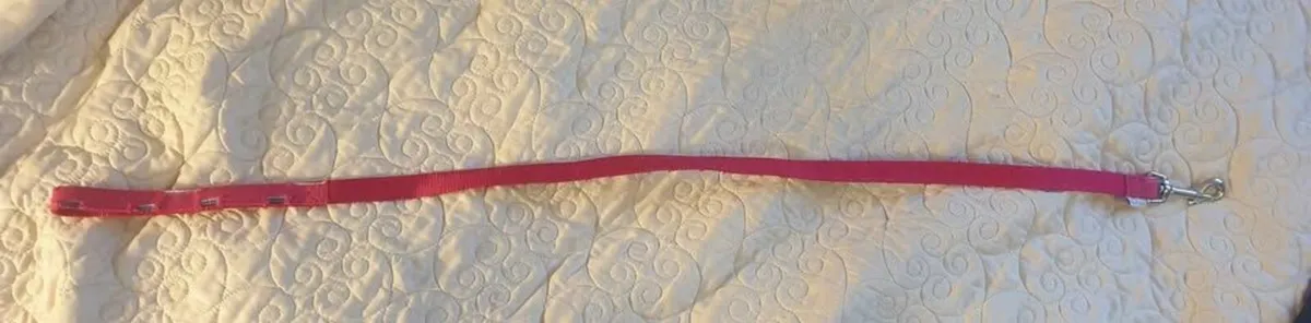 Toy Dog Lead - Image 3