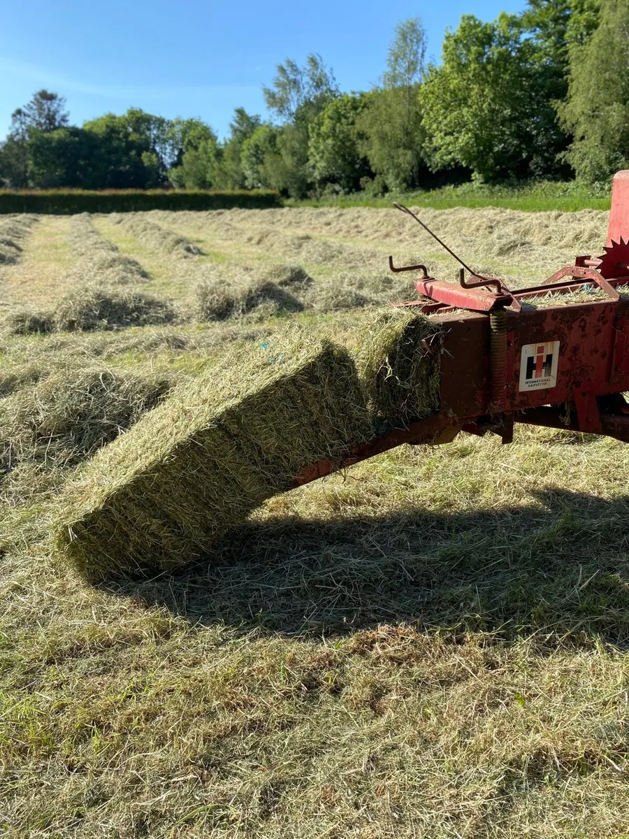 Small square baling hire work - Image 2