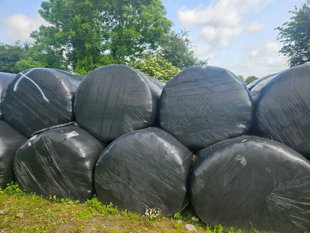 Silage Bales - Image 1