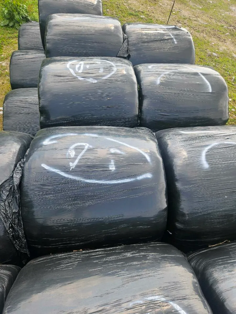 Silage Bales - Image 2
