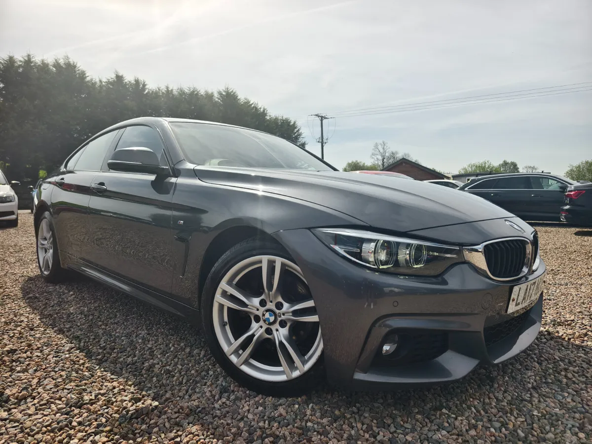 2017 BMW 420d M-SPORT 5DR AUTO - Image 2