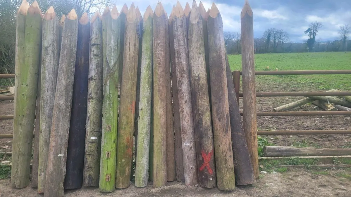 Poles - Image 4