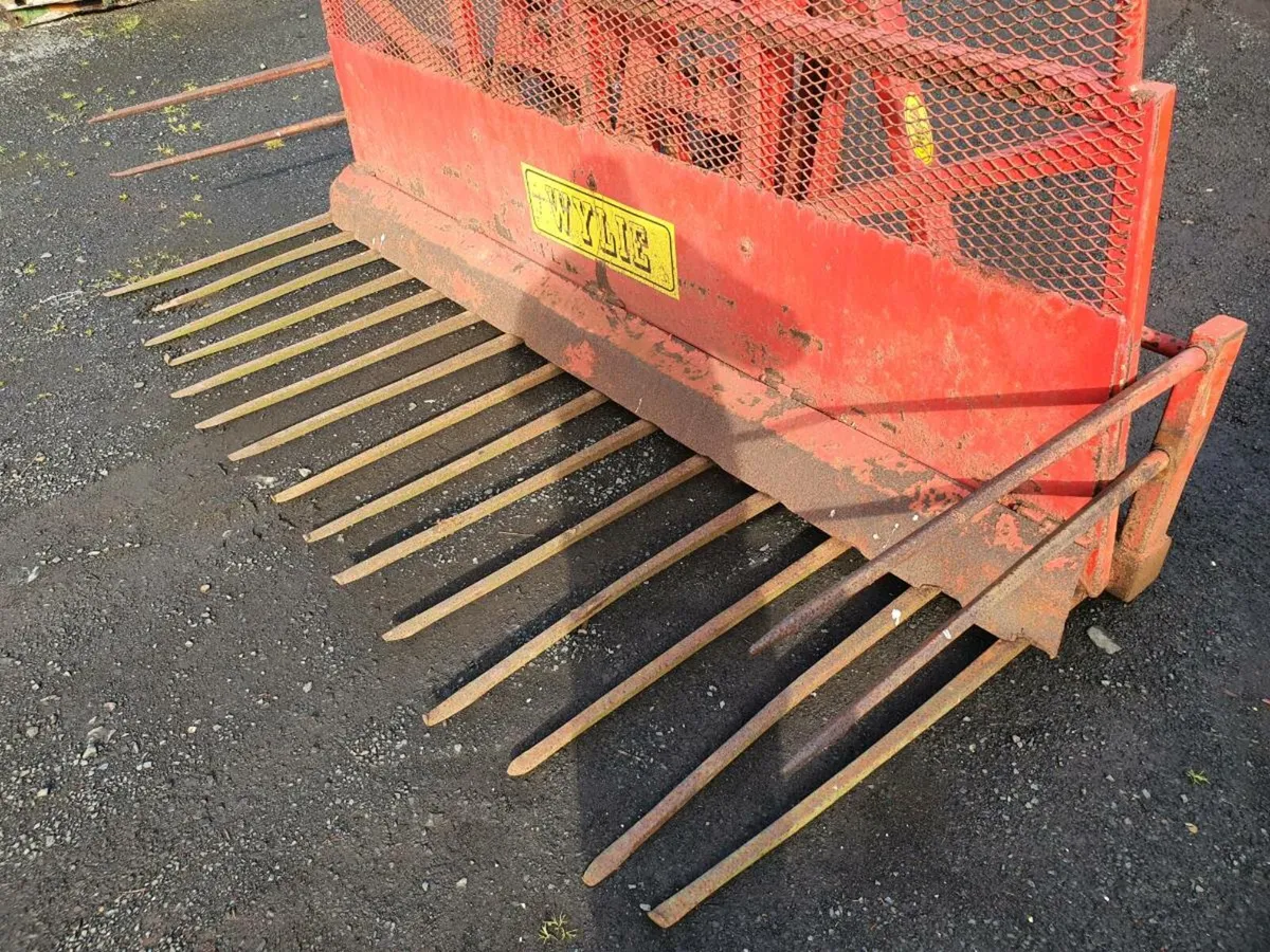 Buckrake - Image 2
