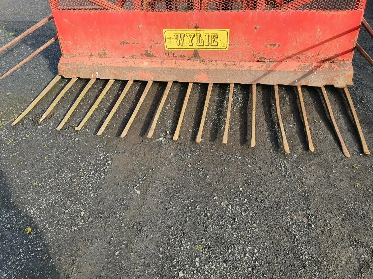 Buckrake - Image 3