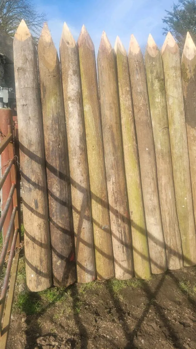 Poles - Image 3