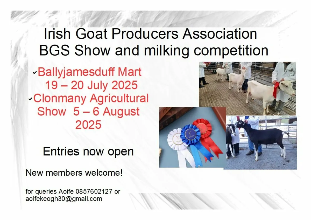 Irish Goat Producers Show