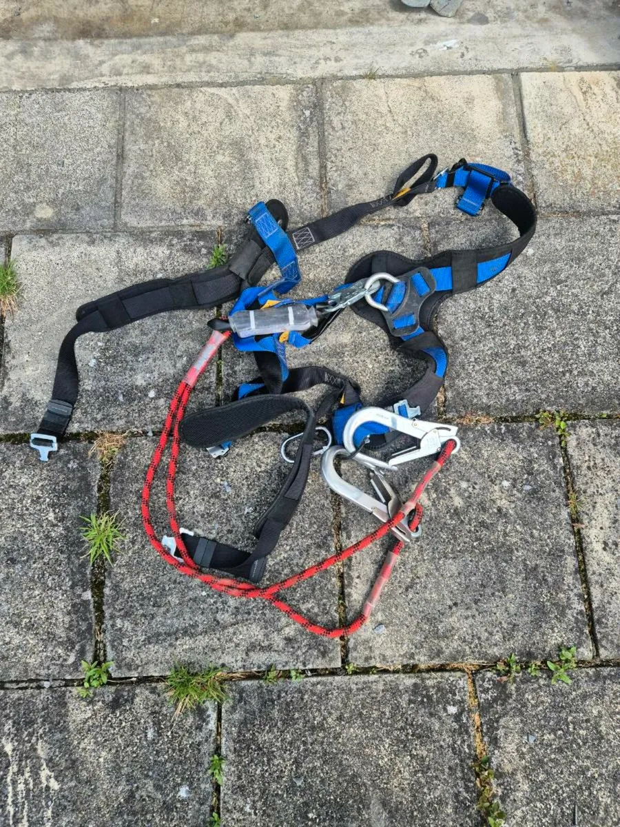 Harness
