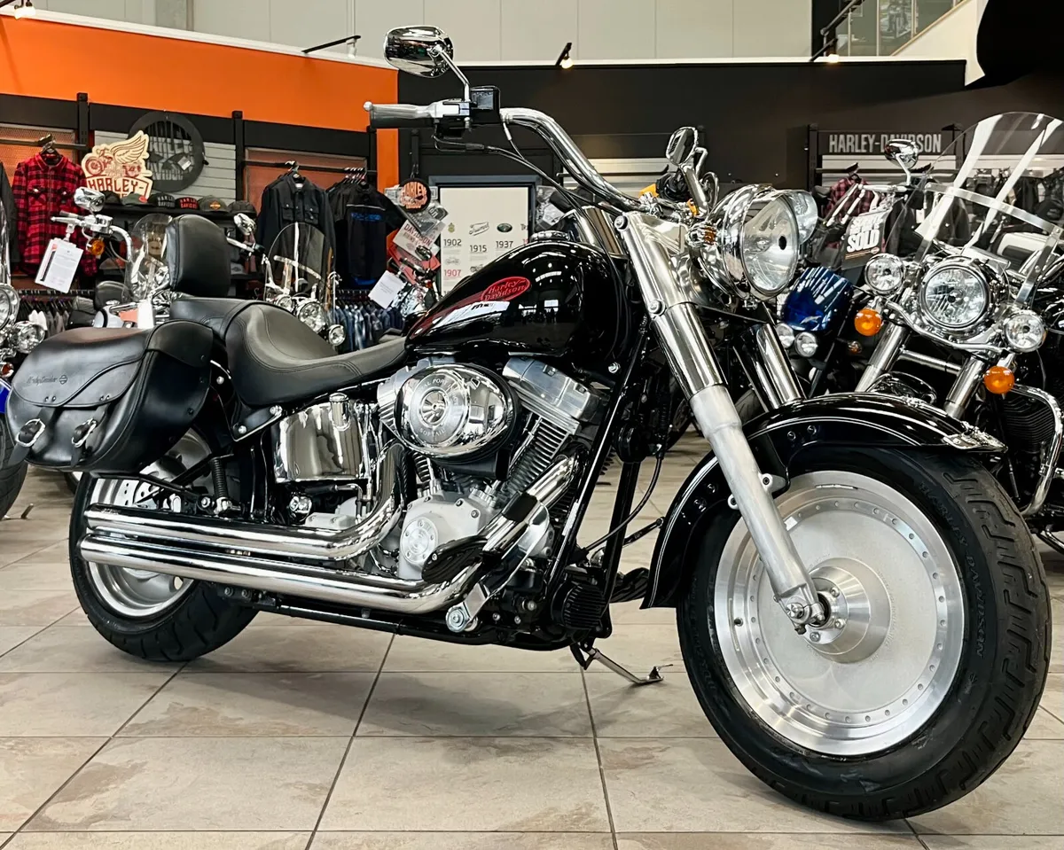 HARLEY-DAVIDSON SOFTAIL CUSTOM - Image 2