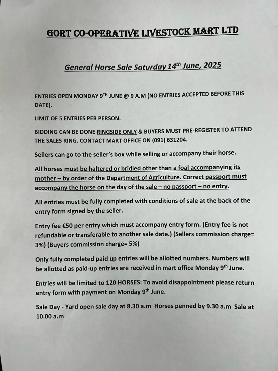 Gort Mart: Horse sale : Sat 14th June - Image 3