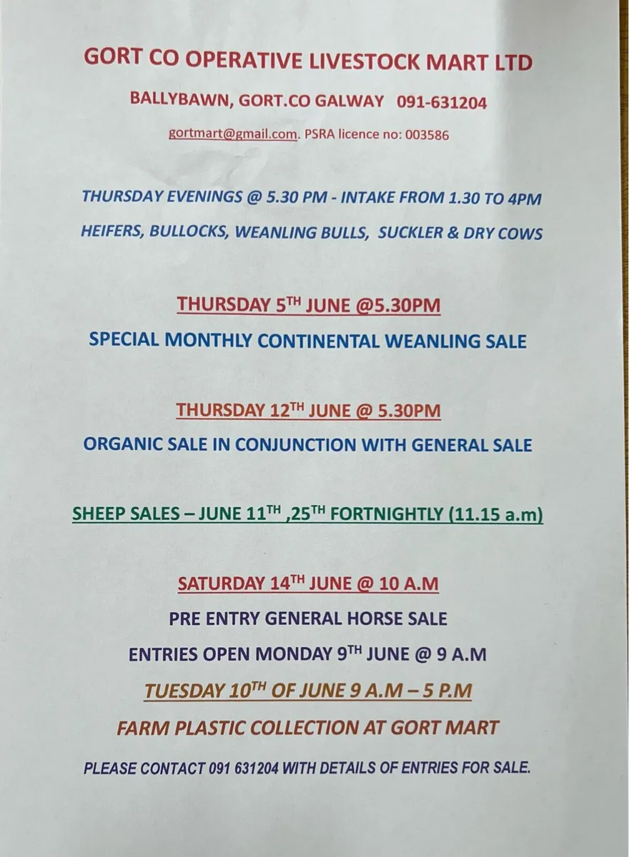Gort Mart: Horse sale : Sat 14th June - Image 4