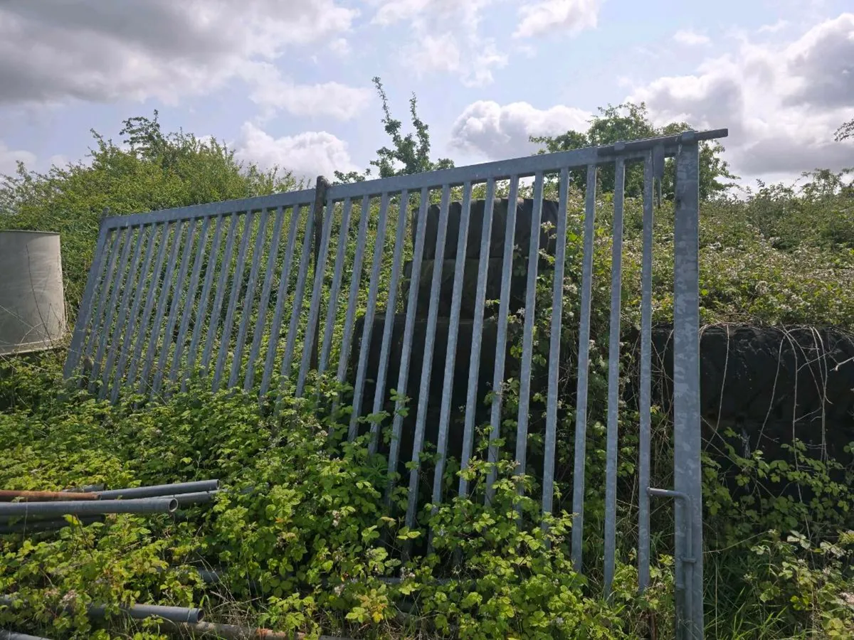 Large galvanised swing gate - Image 1
