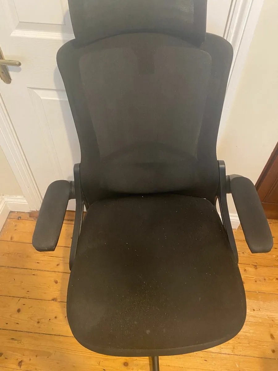 Ergonomic Office Chair - Image 1