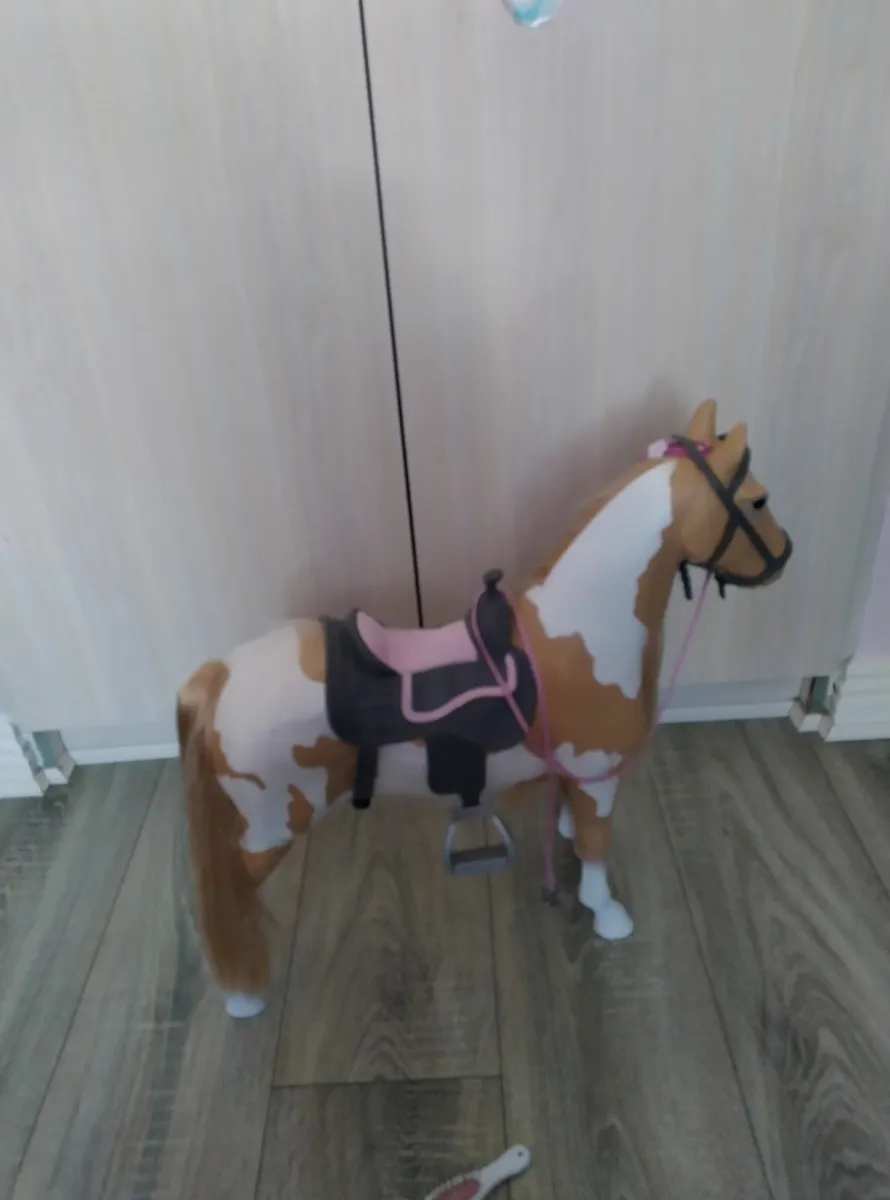Our generation horse - Image 1