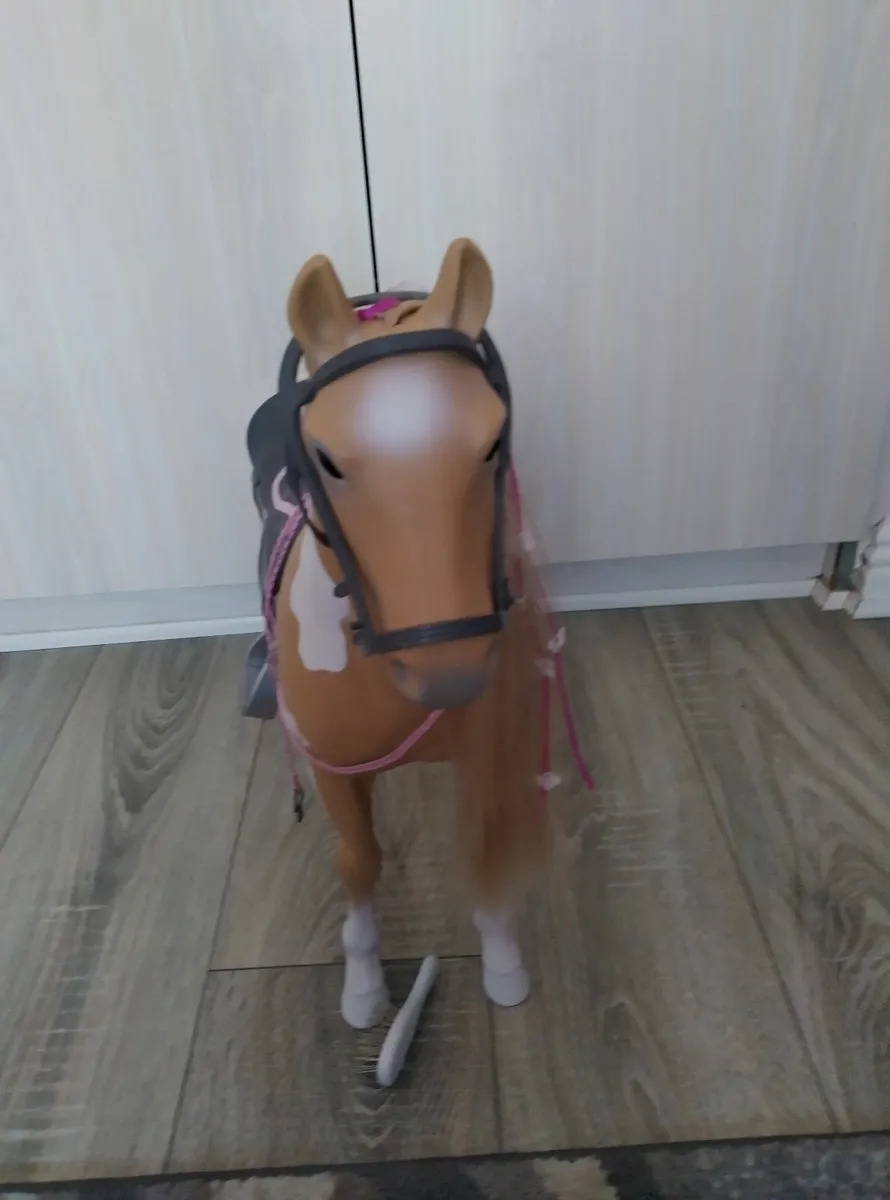 Our generation horse - Image 3
