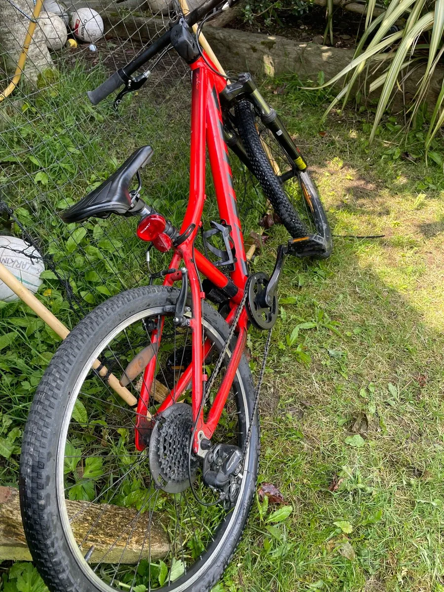 Kids bike - Image 4