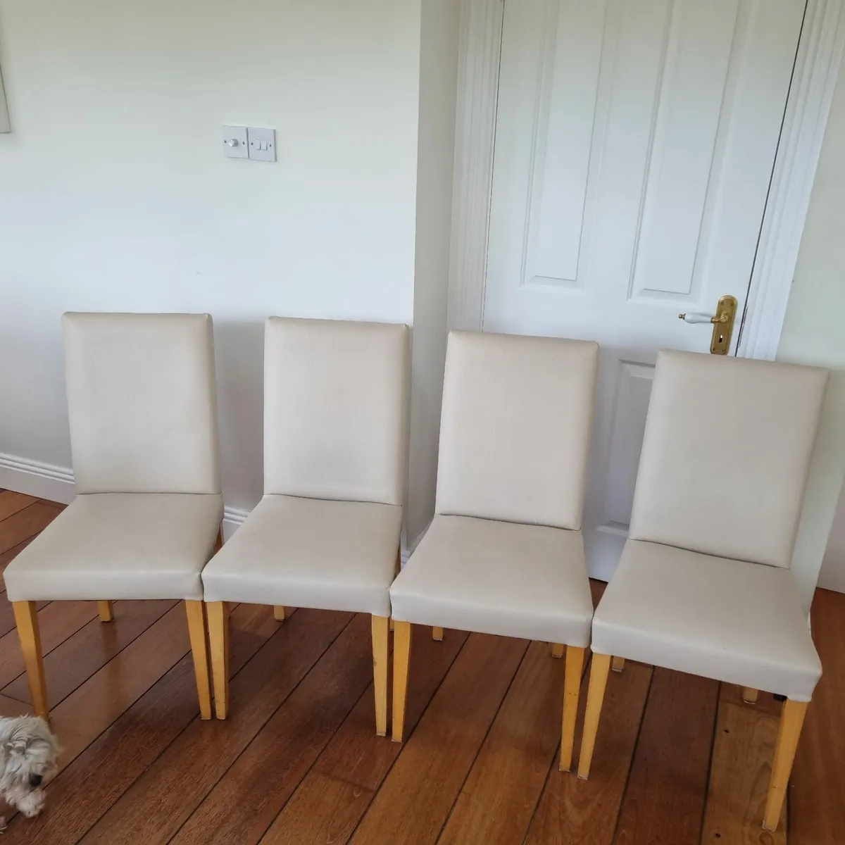 Kitchen Chairs