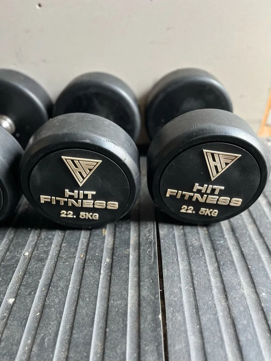 2x22.5kg dumbbells - Image 1
