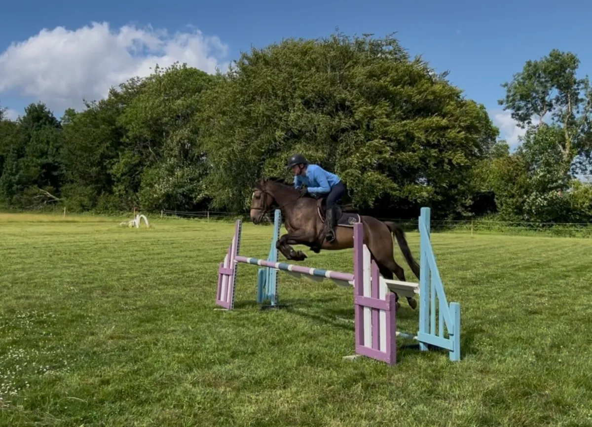 13:2 Conneamra jumping pony - Image 3
