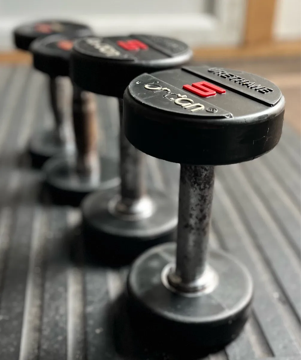 2.5kg - 5kg jordan Dumbbells - Image 1