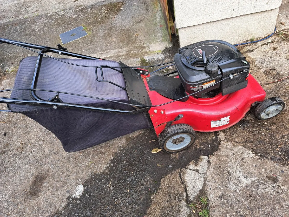 Lawnmower - Image 2