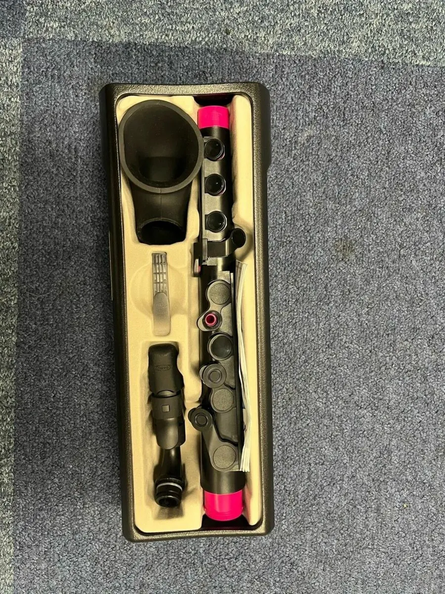 Nuvo Jsax 2.0 with case