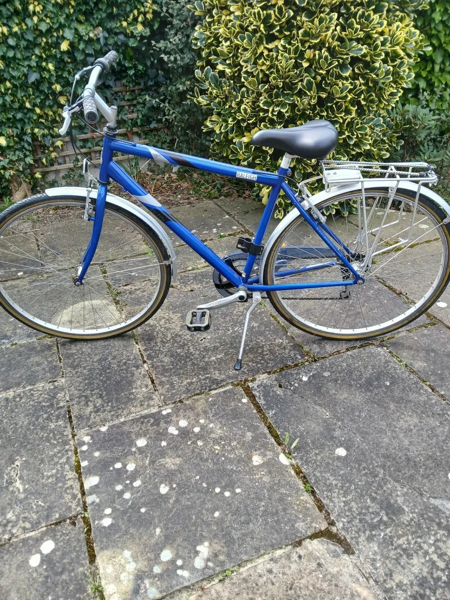 Raleigh Pioneer 120 Bike - Image 1