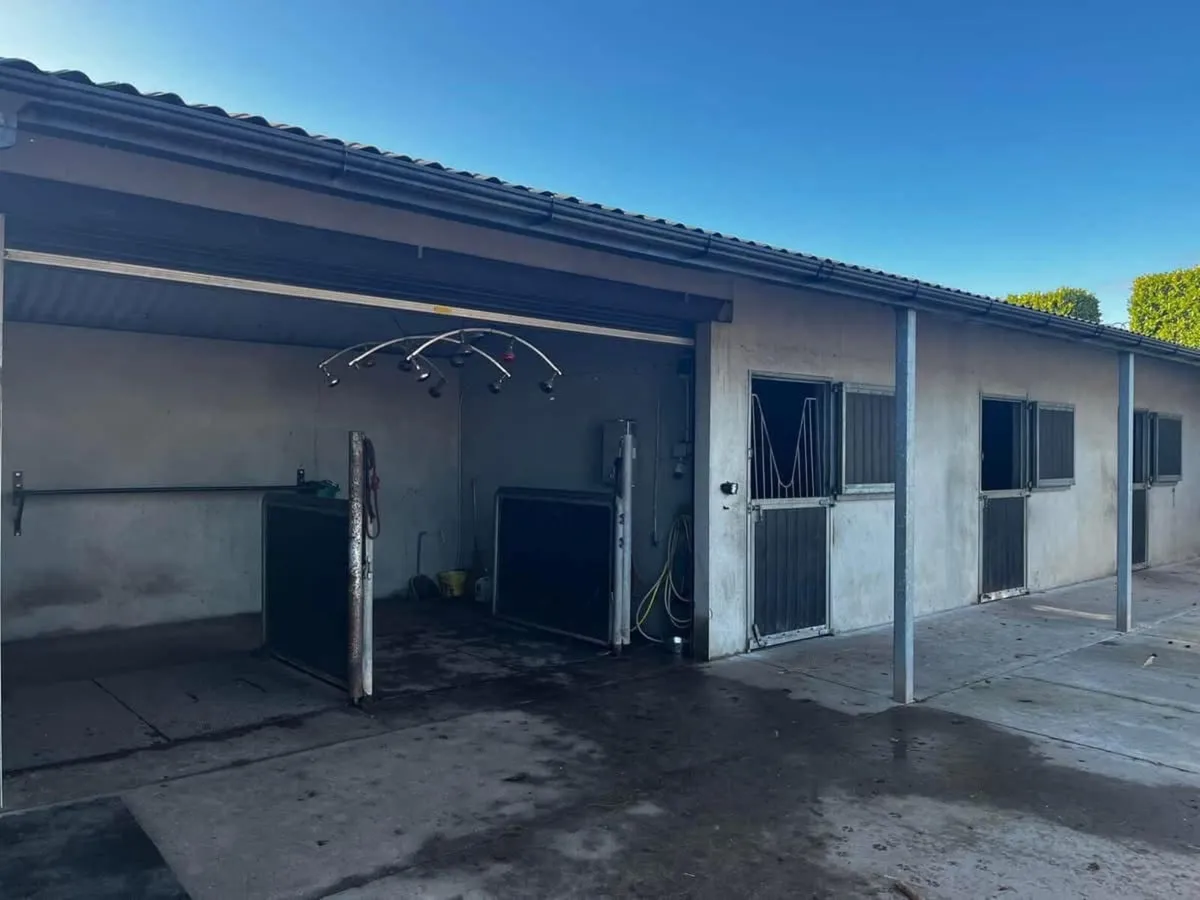 5* Livery Yard with Coaching available - Image 2
