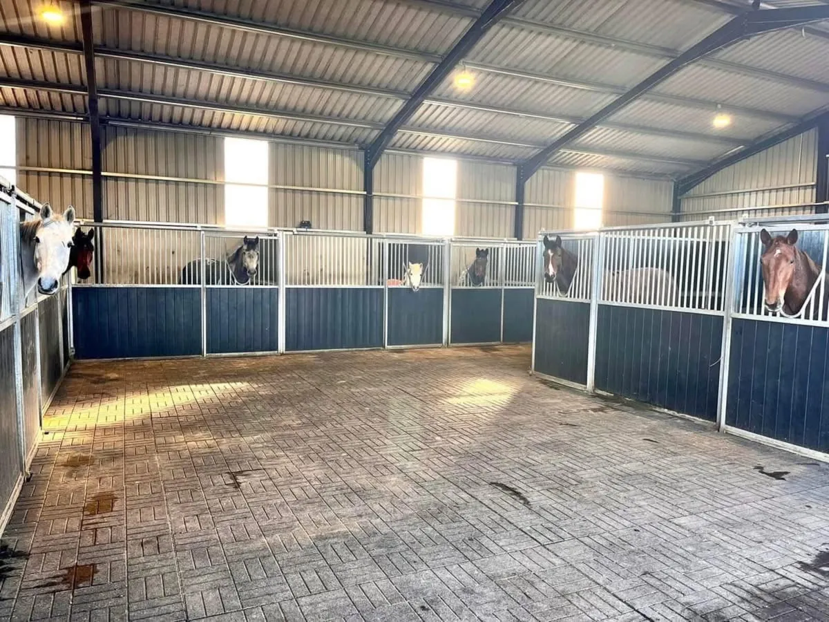 5* Livery Yard with Coaching available - Image 3