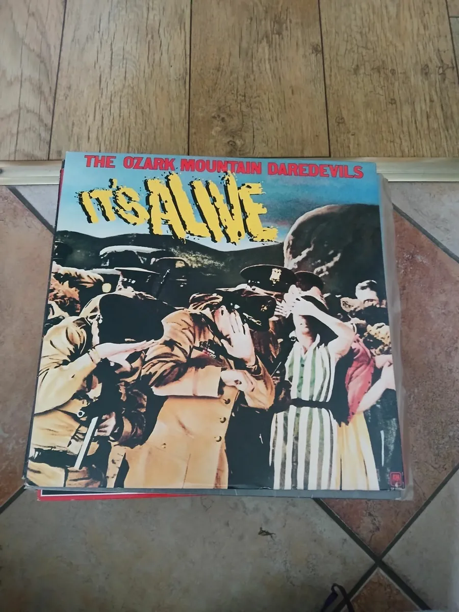 Vinyl Records Collection - Image 3