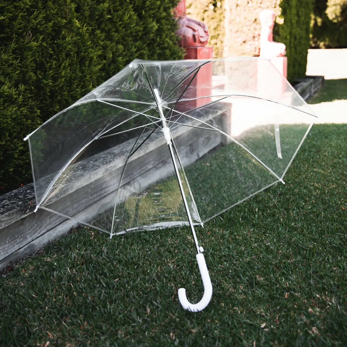 Clear wedding umbrellas x8