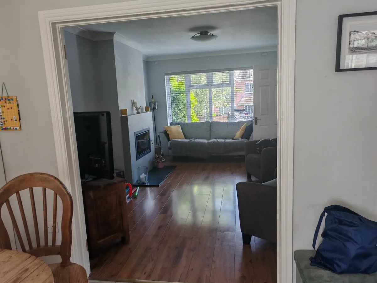 Interior double doors - white painted - Image 2