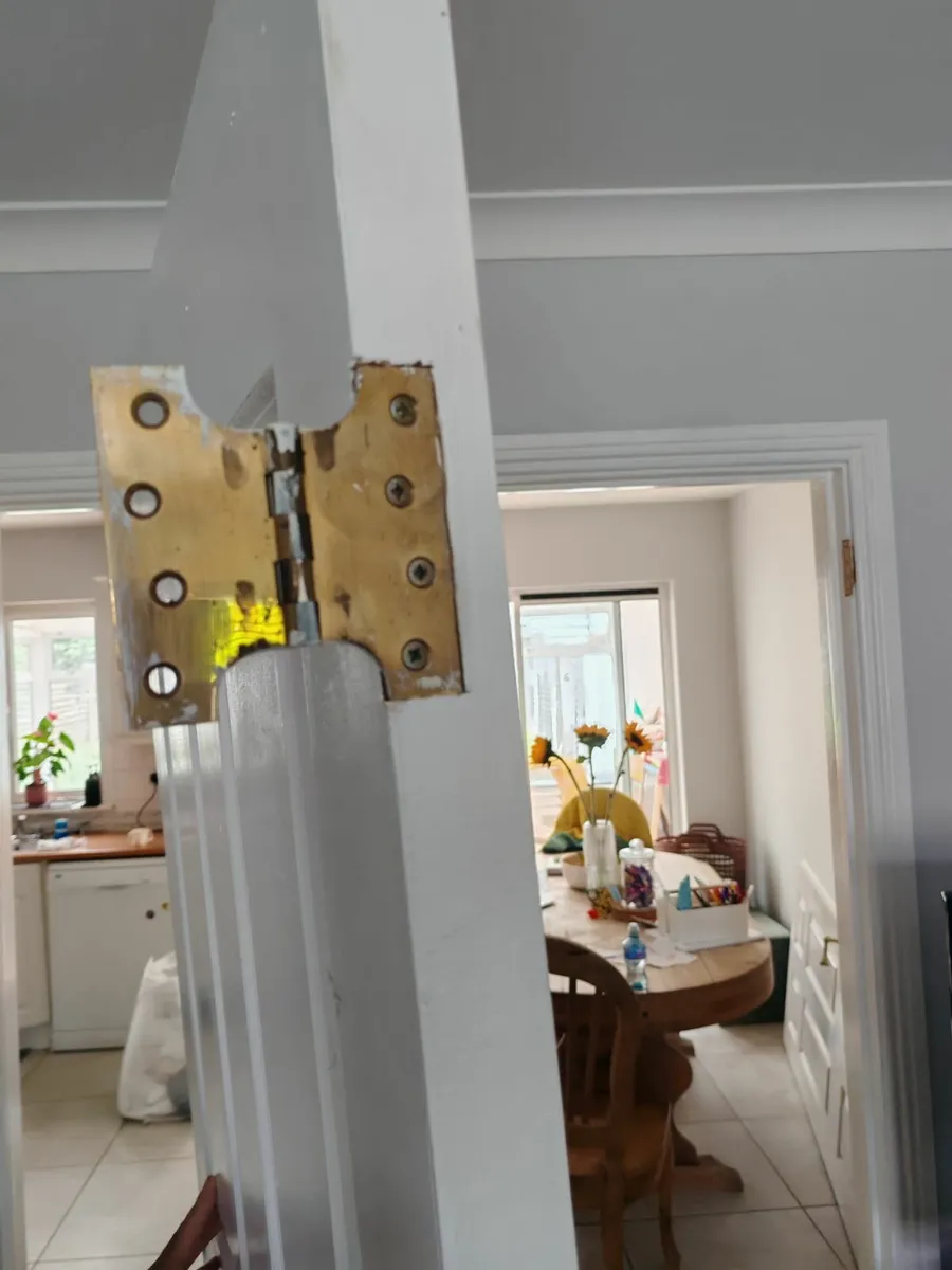 Interior double doors - white painted - Image 3
