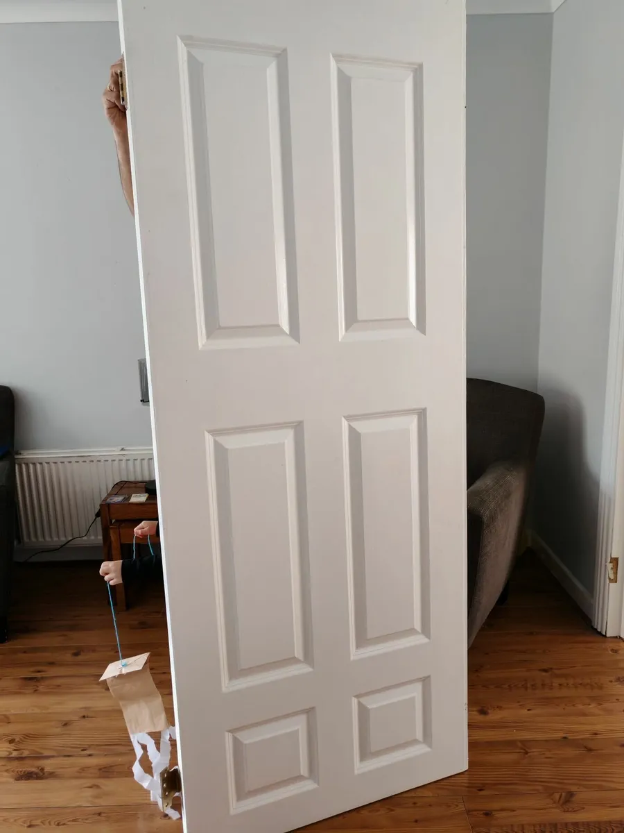 Interior double doors - white painted - Image 1