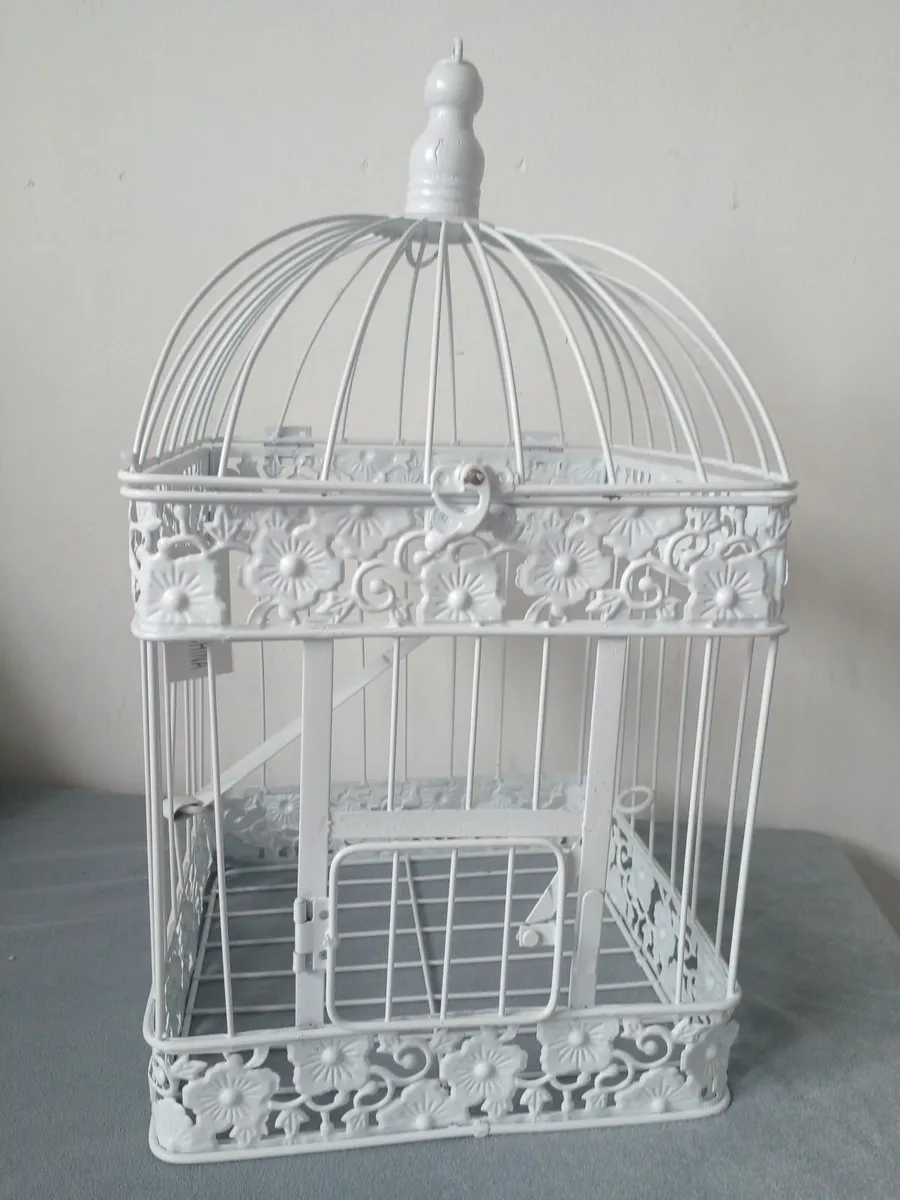 Bird  cage