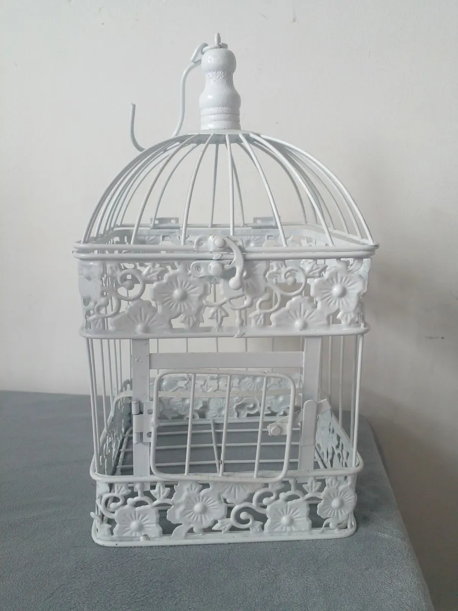 Bird cage