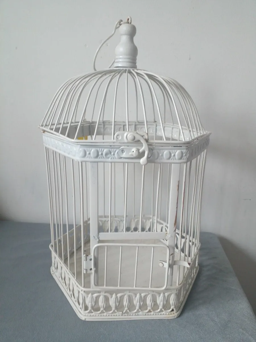 Bird cage