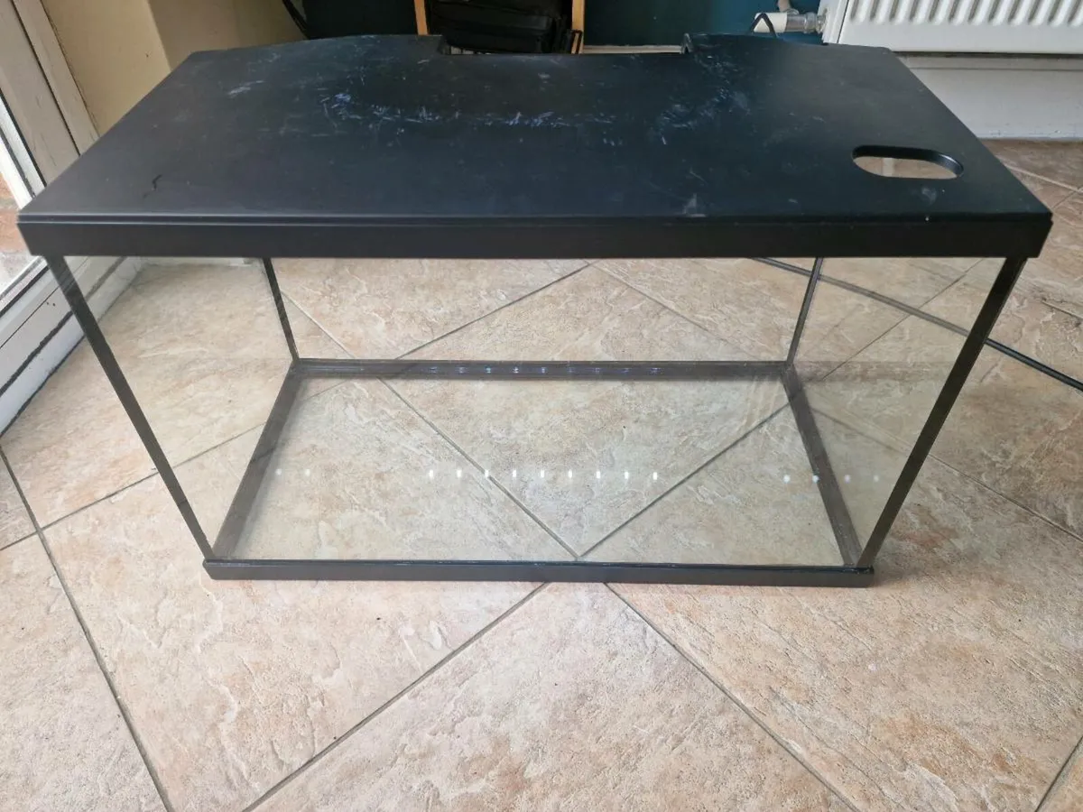 Fish Tank & Accessories - Image 1