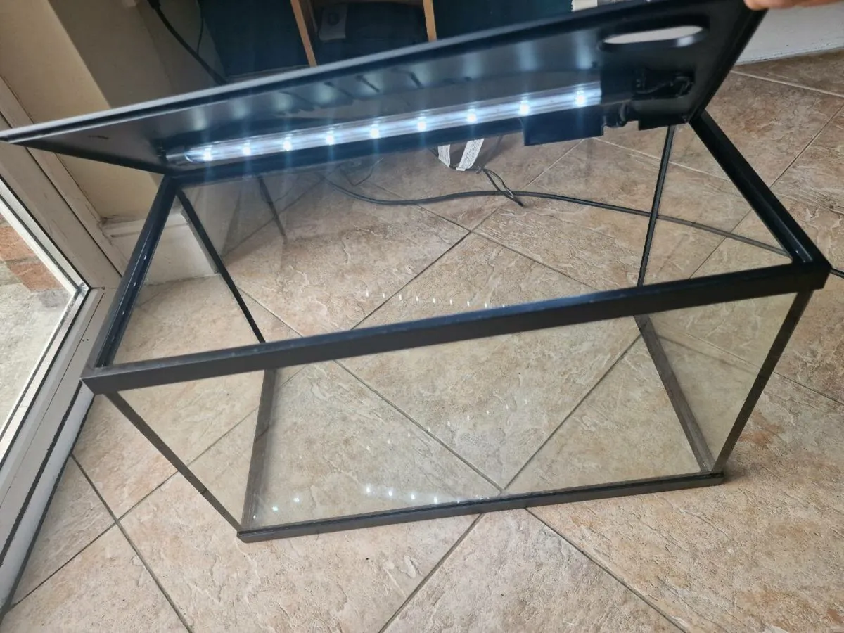 Fish Tank & Accessories - Image 2