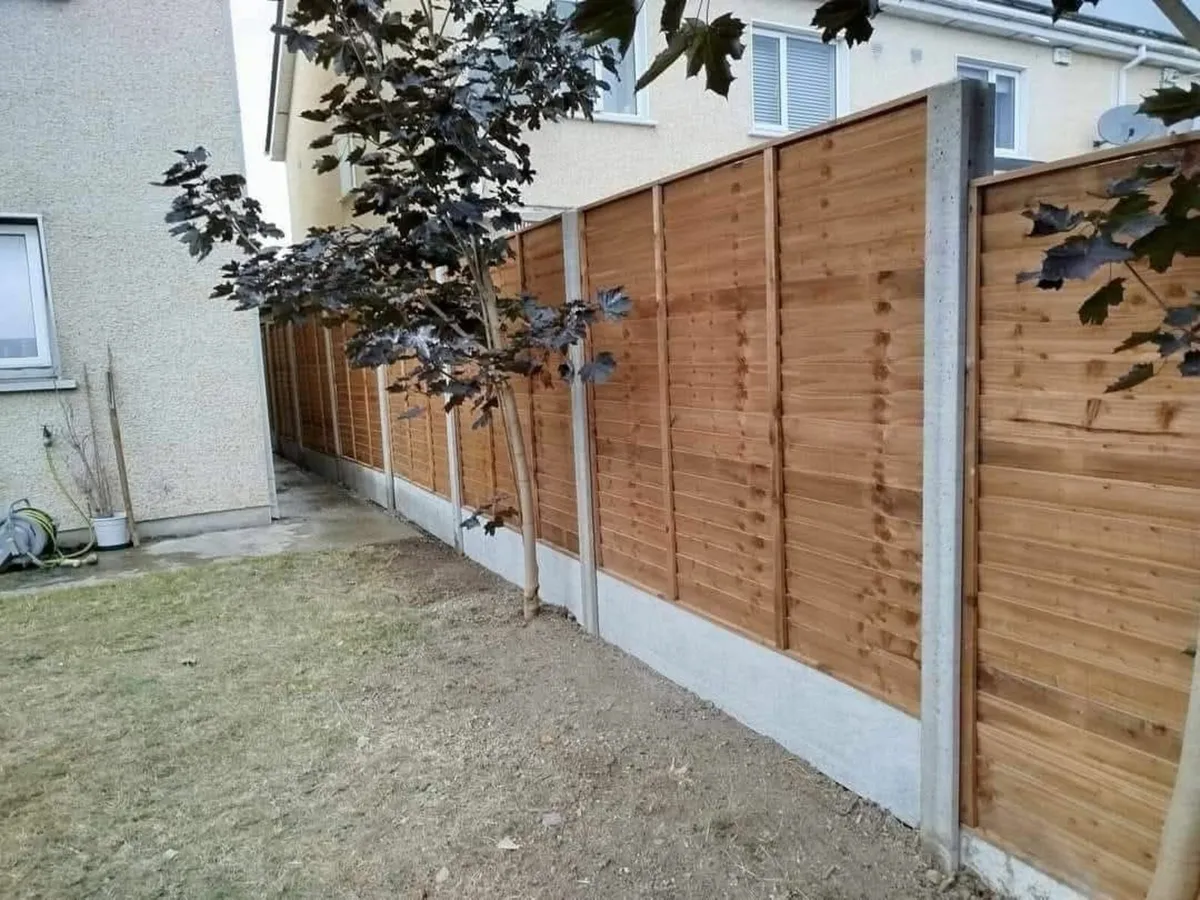 Fencing - Image 2