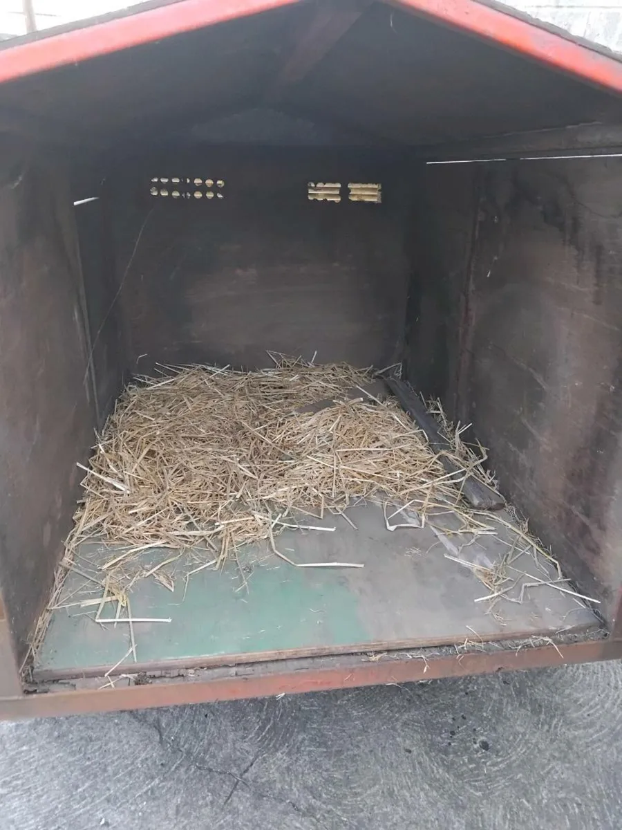 Dog trailer - Image 3