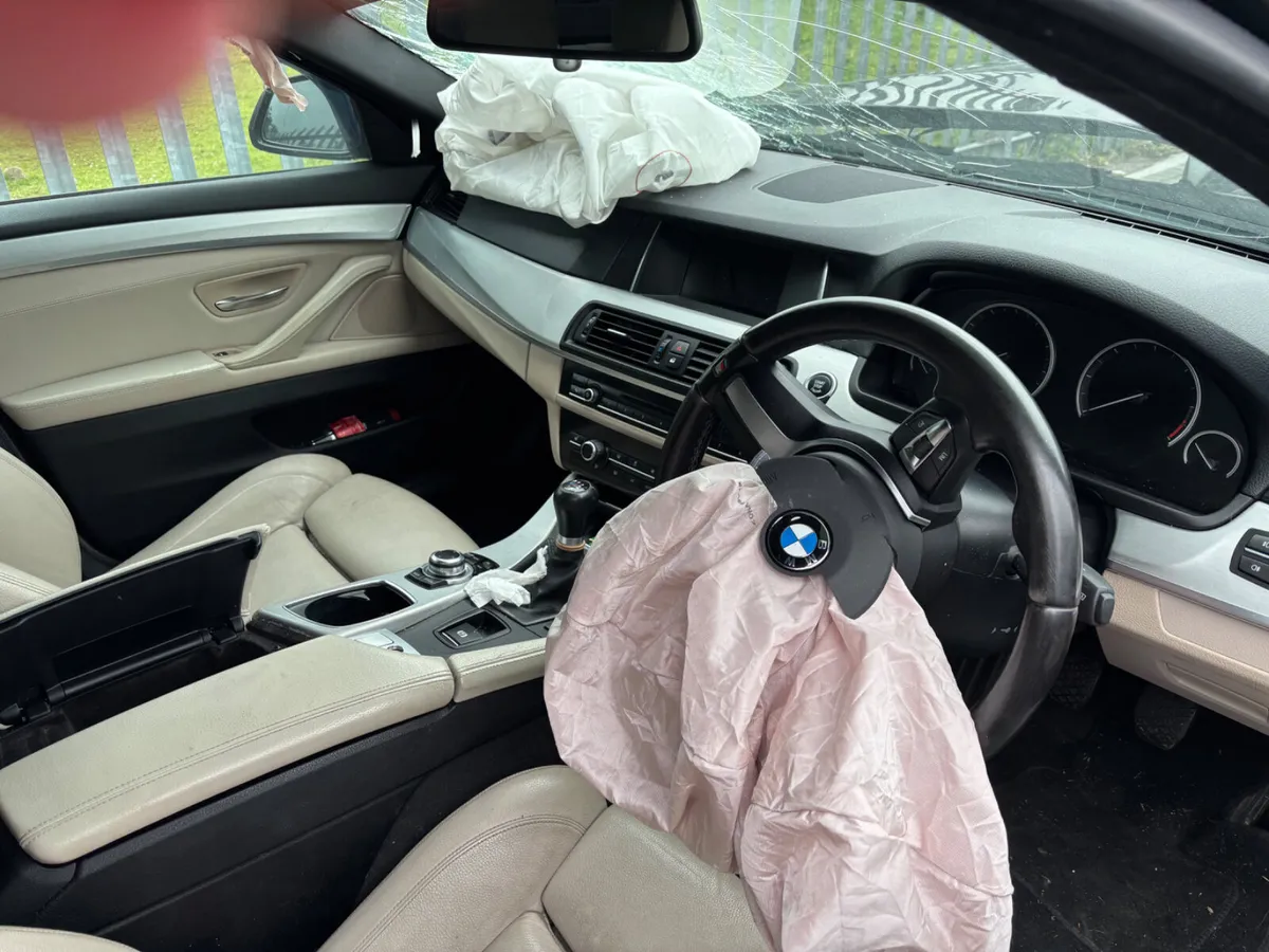 16 BMW 520d 150km Starting - Image 4