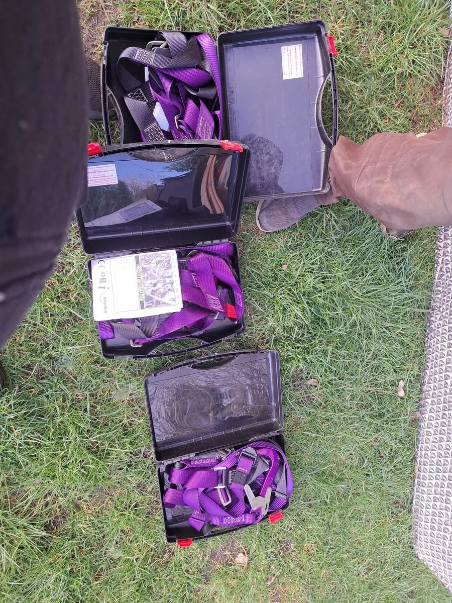 Climbing harness