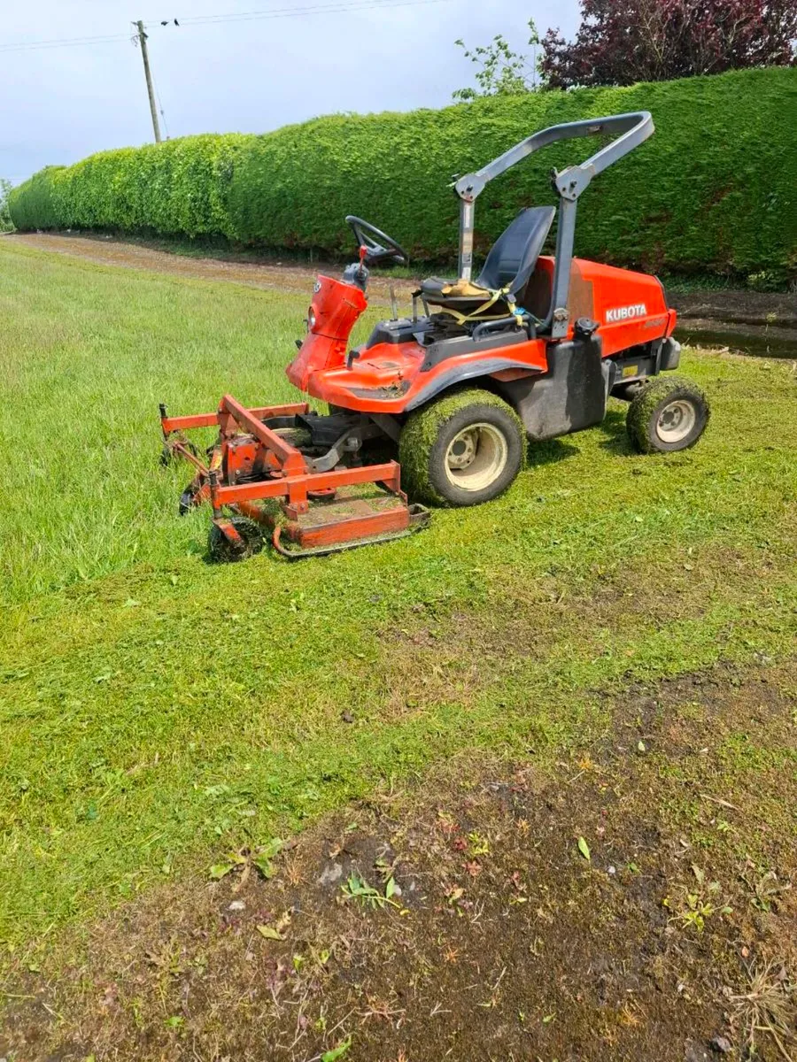 All lawn maintenance spaying and any garden work - Image 1