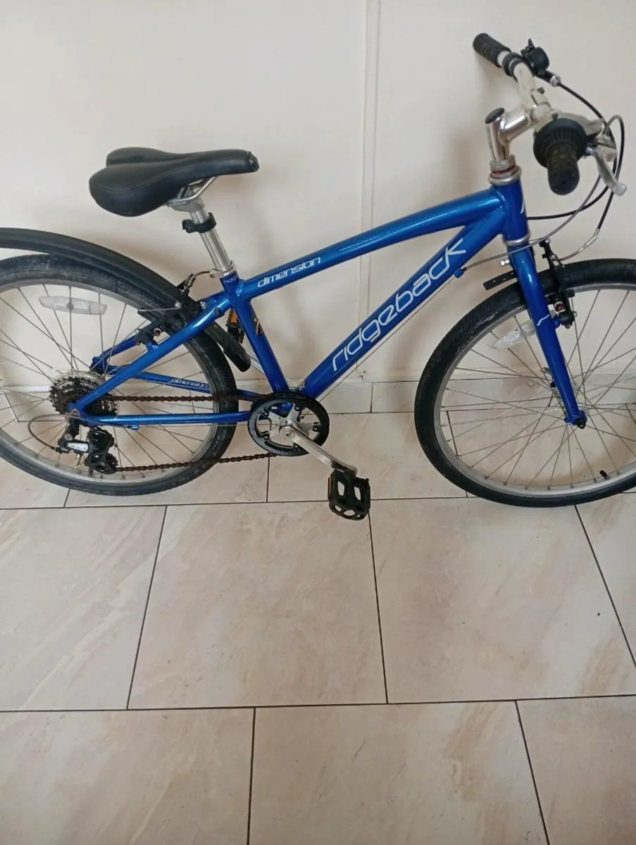 Ridgeback dimension bike - Image 3