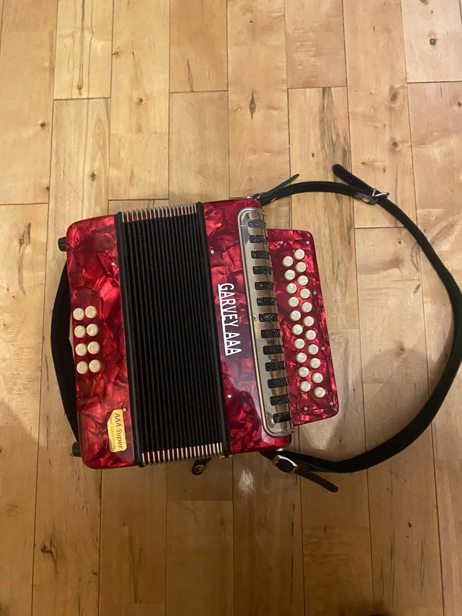 Button accordion - Image 2