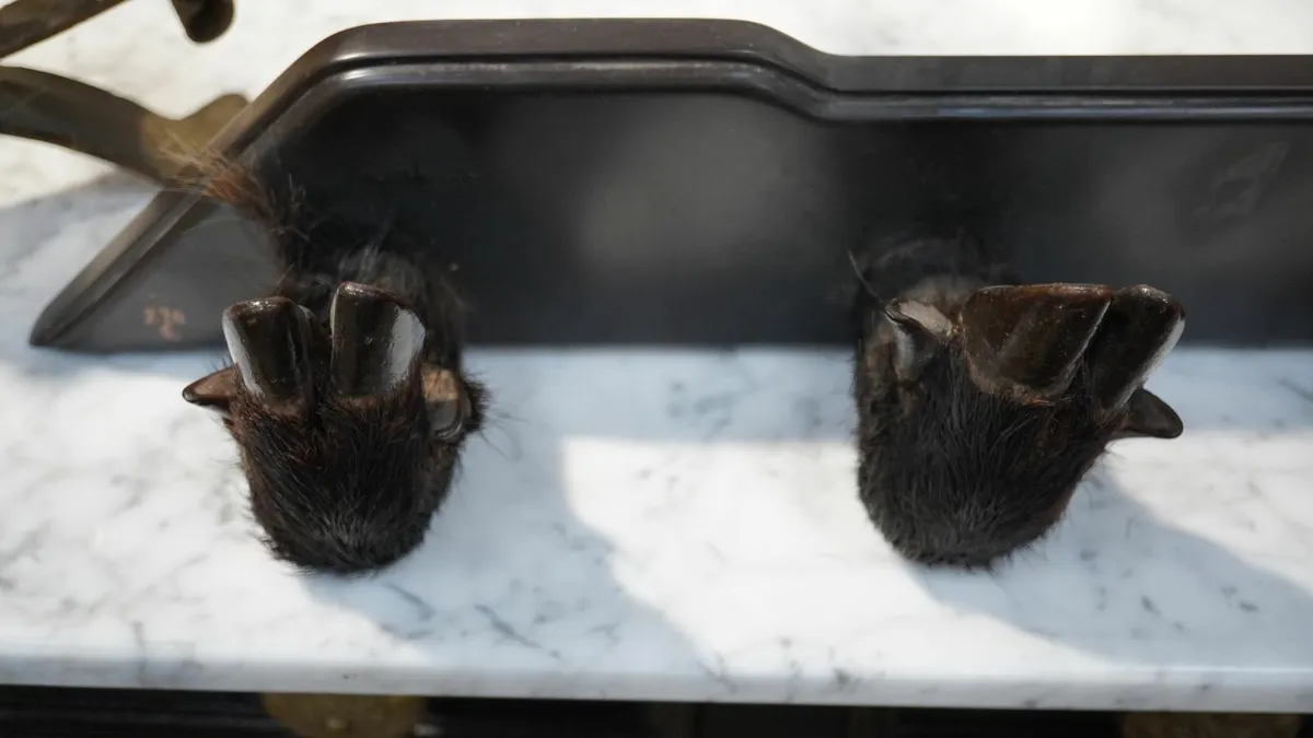 Vintage Wall-Mounted Gun Rack with Boar Hoof Holde - Image 2