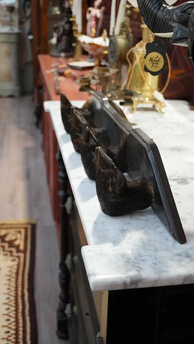 Vintage Wall-Mounted Gun Rack with Boar Hoof Holde - Image 4